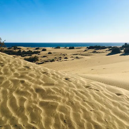 Excelsior I Sea View Maspalomas (Gran Canaria)